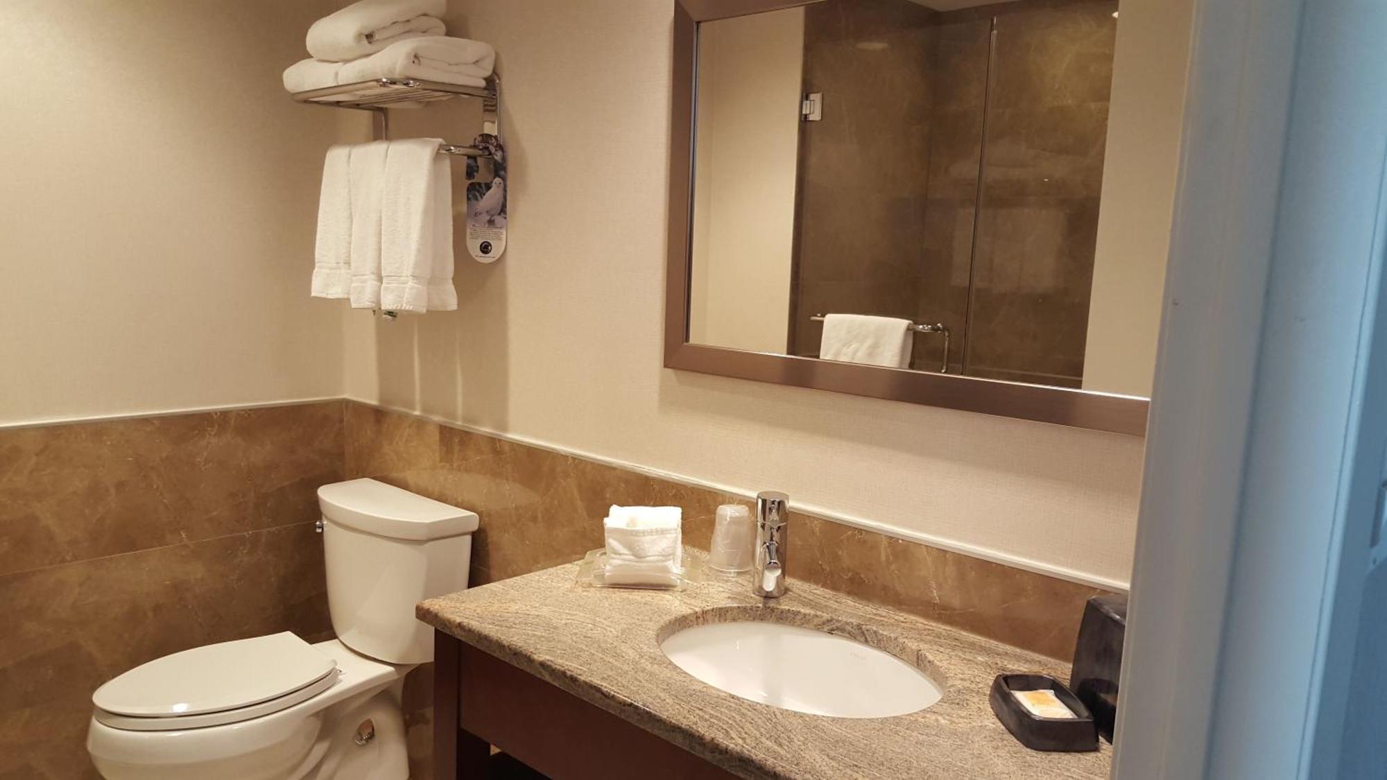 Deluxe King Studio