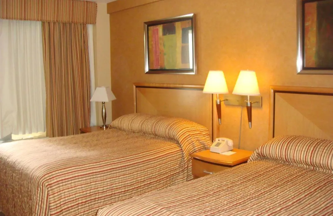 The Skyline Hotel New York-1