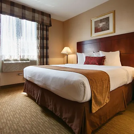 Best Western Plus Arena Hotel-2