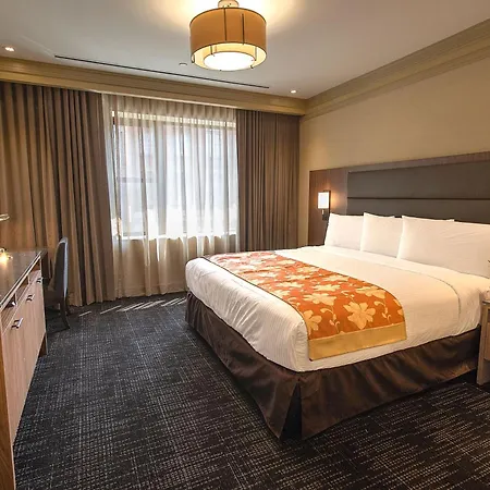 Opera House Hotel-2