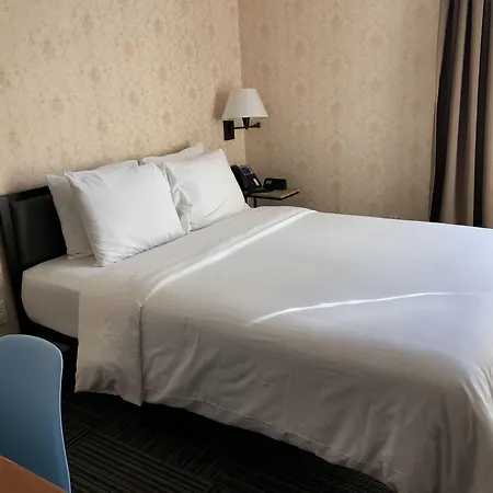 Hotel Mimosa-3