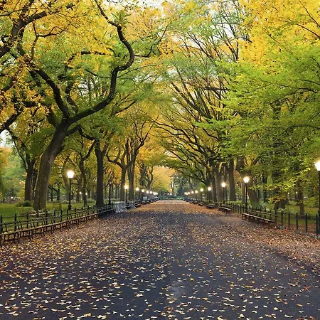 Hudson Central Park, A Morgans Hotel-2